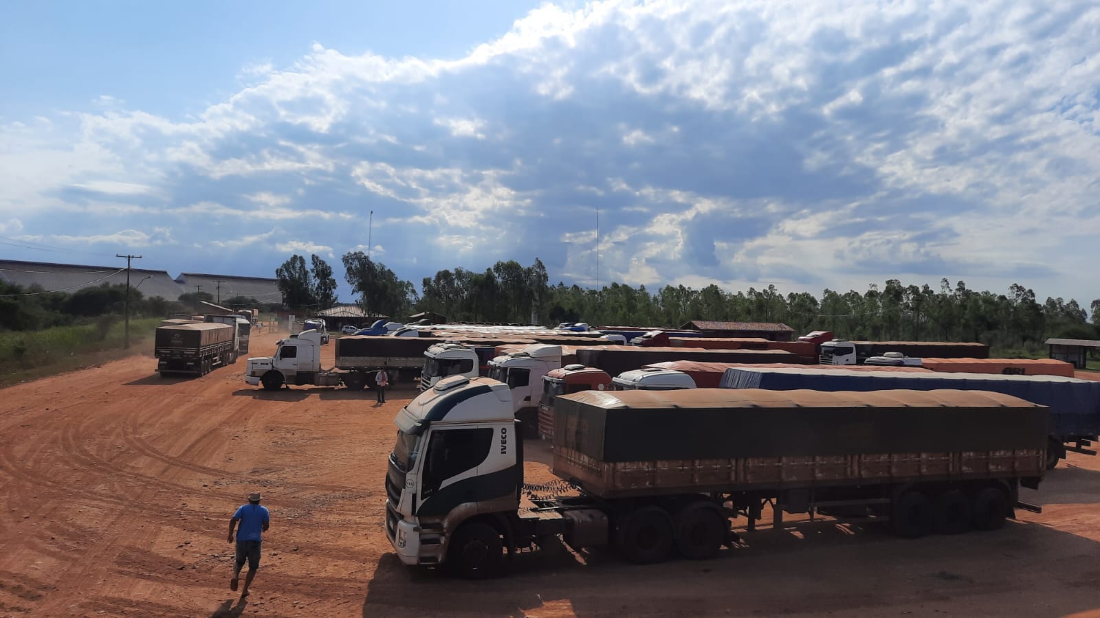 Recepción record de 450 camiones en báscula durante zafra