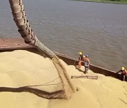 Despacho de fertilizantes a granel y logística de acopio